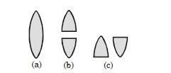 Question diagram