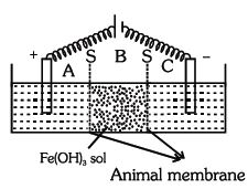 Question diagram