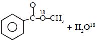 Option B