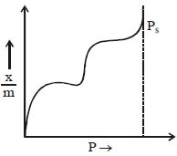 Option C