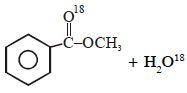 Option C
