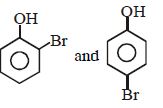 Option B