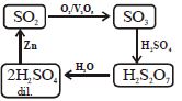 Option B
