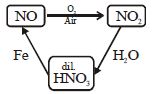 Option B