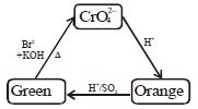 Option B