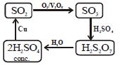 Option C