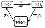 Option C