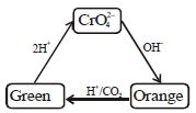 Option C