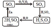 Option D