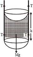 Solution diagram