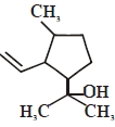 Option C