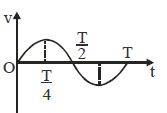 Option D