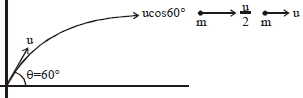 Solution diagram