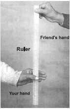 Question diagram