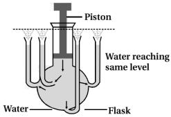 Solution diagram