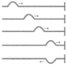 Solution diagram