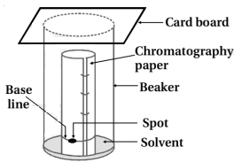 Solution diagram