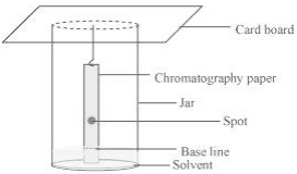 Solution diagram