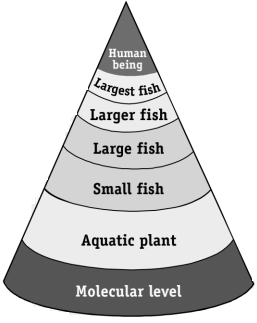 Solution diagram