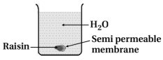 Question diagram