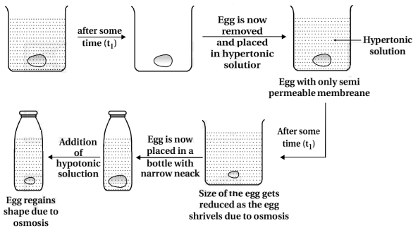 Solution diagram