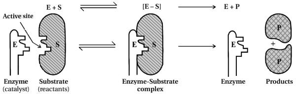 Solution diagram