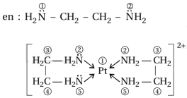 Solution diagram