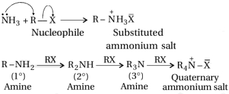 Solution diagram