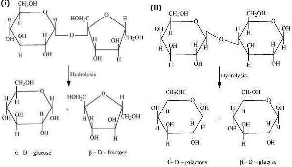 Solution diagram