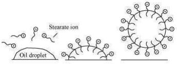 Solution diagram