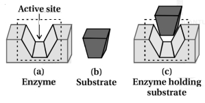 Solution diagram