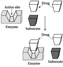 Solution diagram