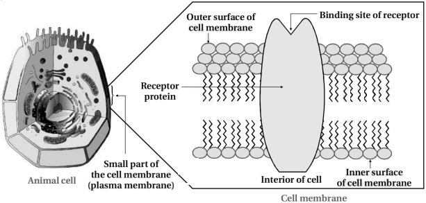Solution diagram