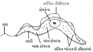 Question diagram