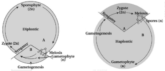 Solution diagram