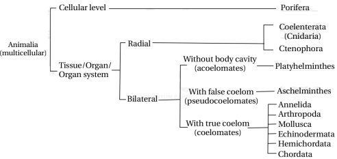 Solution diagram