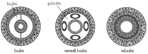 Solution diagram
