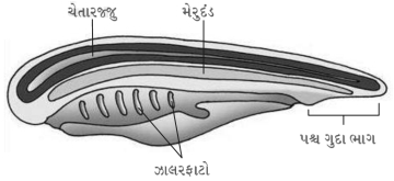 Solution diagram