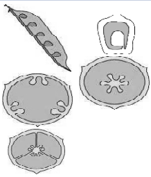 Solution diagram