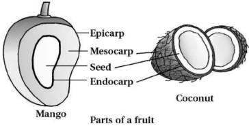 Solution diagram