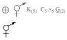 Solution diagram
