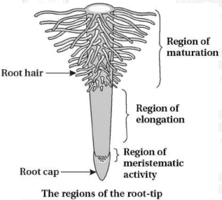 Solution diagram
