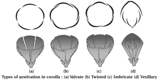 Solution diagram