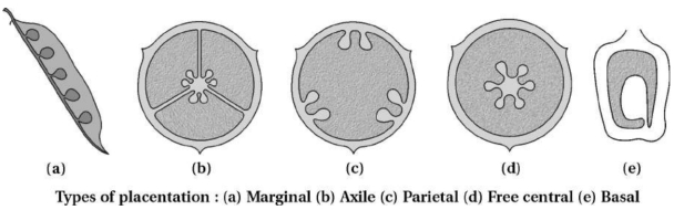 Solution diagram