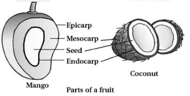 Solution diagram