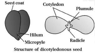Solution diagram