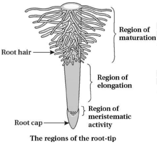 Solution diagram
