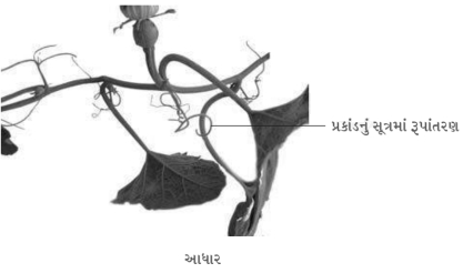 Solution diagram