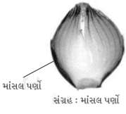 Question diagram