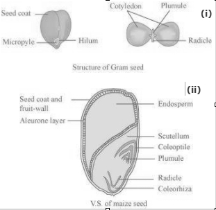 Solution diagram